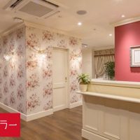 【銀座カラー口コミ42選】体験者の本音を徹底調査!調べてわかった7つのこと
